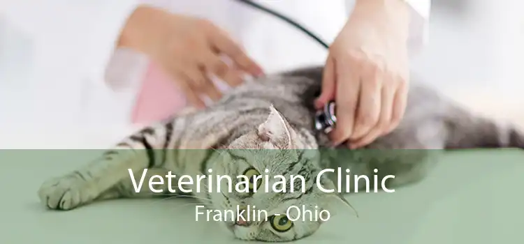 Veterinarian Clinic Franklin - Ohio