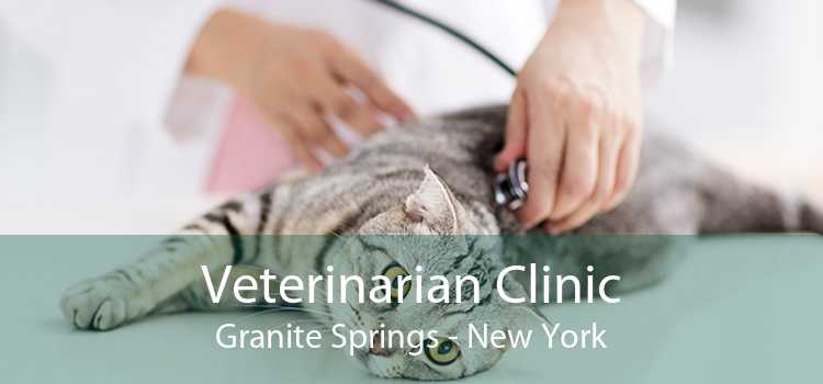 Veterinarian Clinic Granite Springs - New York