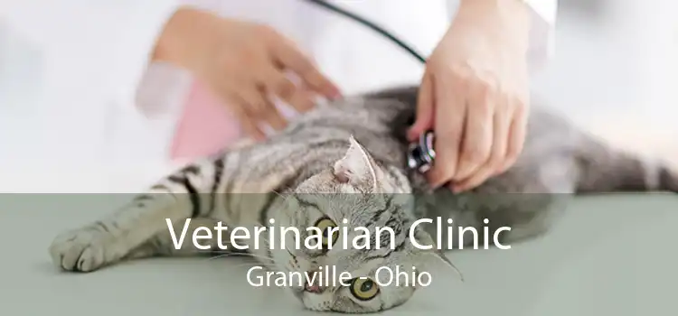 Veterinarian Clinic Granville - Ohio