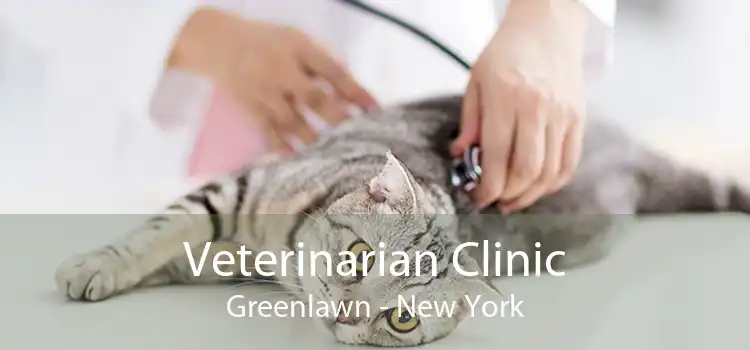 Veterinarian Clinic Greenlawn - New York