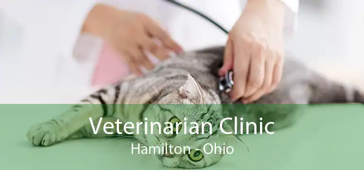 Veterinarian Clinic Hamilton - Ohio