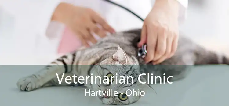 Veterinarian Clinic Hartville - Ohio