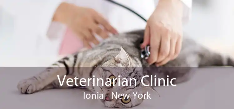 Veterinarian Clinic Ionia - New York