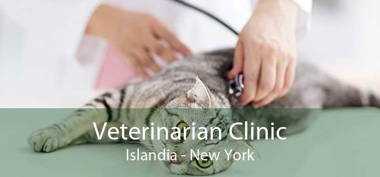 Veterinarian Clinic Islandia - New York