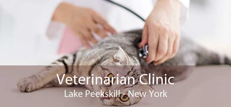 Veterinarian Clinic Lake Peekskill - New York