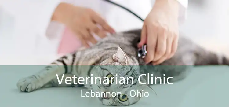 Veterinarian Clinic Lebannon - Ohio