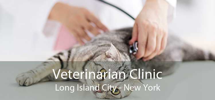 Veterinarian Clinic Long Island City - New York