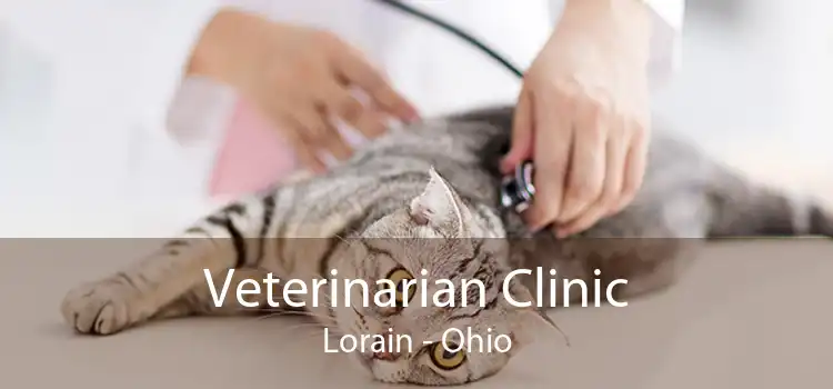 Veterinarian Clinic Lorain - Ohio