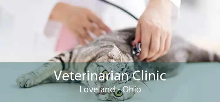 Veterinarian Clinic Loveland - Ohio