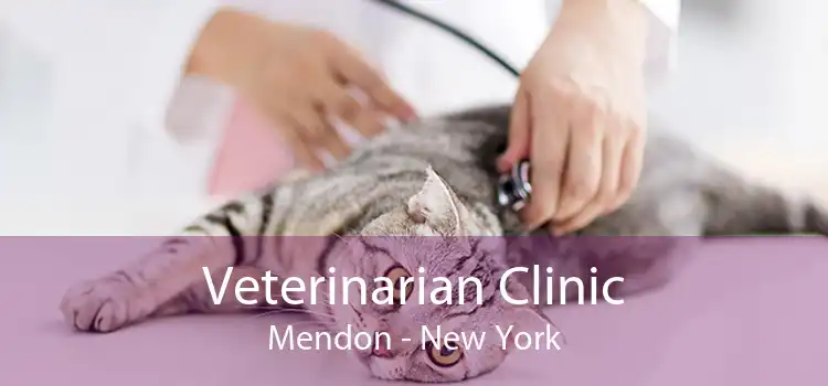 Veterinarian Clinic Mendon - New York