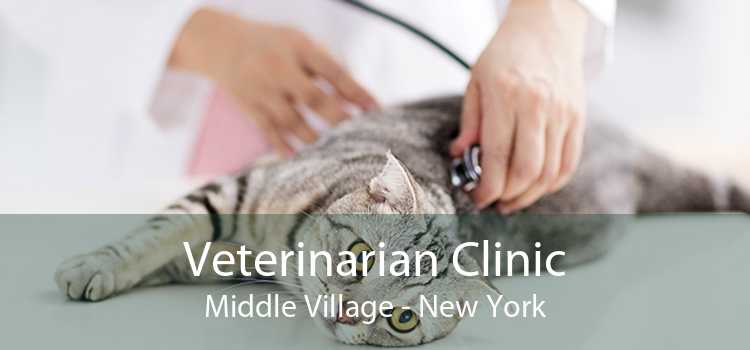 Veterinarian Clinic Middle Village - New York