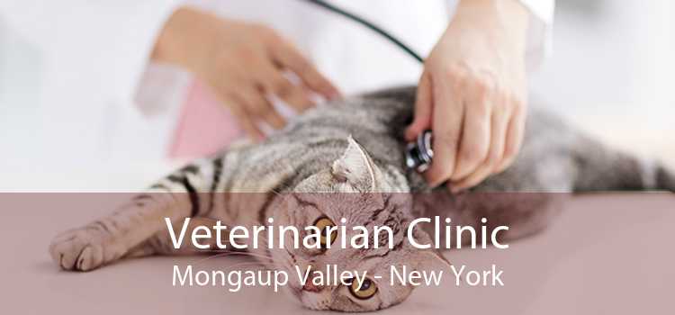 Veterinarian Clinic Mongaup Valley - New York