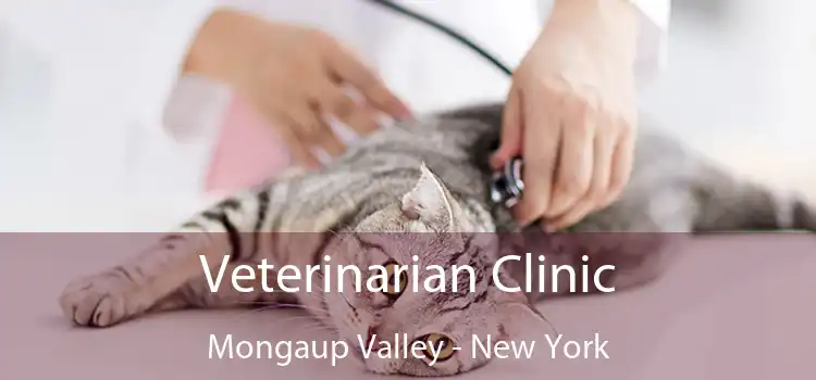 Veterinarian Clinic Mongaup Valley - New York