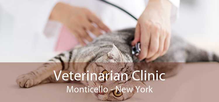 Veterinarian Clinic Monticello - New York