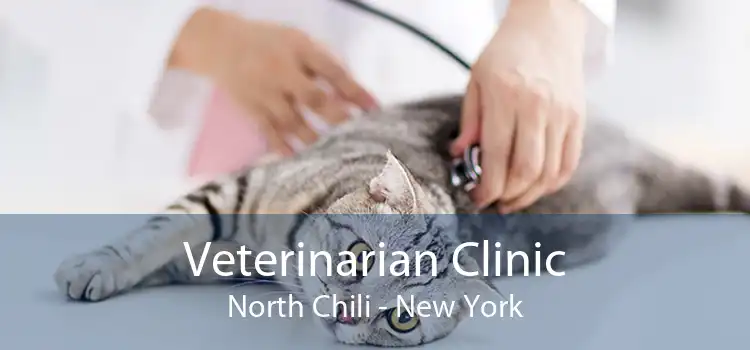 Veterinarian Clinic North Chili - New York