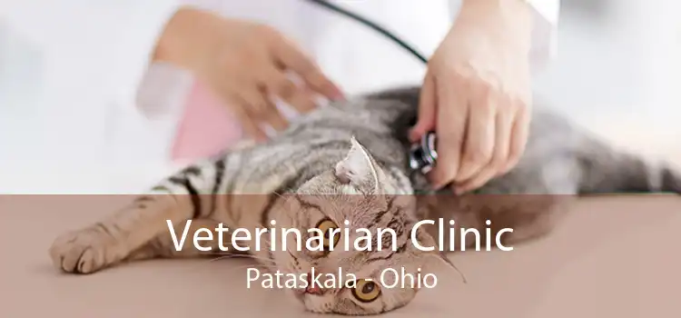 Veterinarian Clinic Pataskala - Ohio