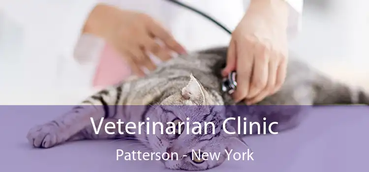 Veterinarian Clinic Patterson - New York