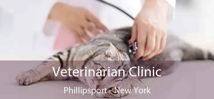 Veterinarian Clinic Phillipsport - New York