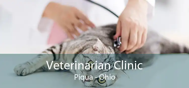 Veterinarian Clinic Piqua - Ohio