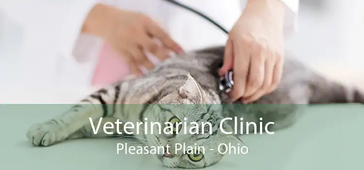 Veterinarian Clinic Pleasant Plain - Ohio
