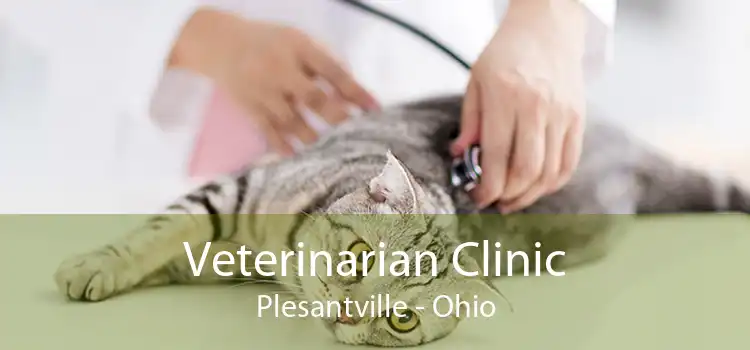 Veterinarian Clinic Plesantville - Ohio