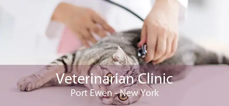 Veterinarian Clinic Port Ewen - New York
