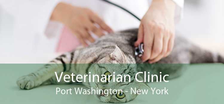 Veterinarian Clinic Port Washington - New York