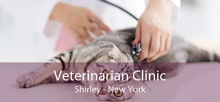 Veterinarian Clinic Shirley - New York