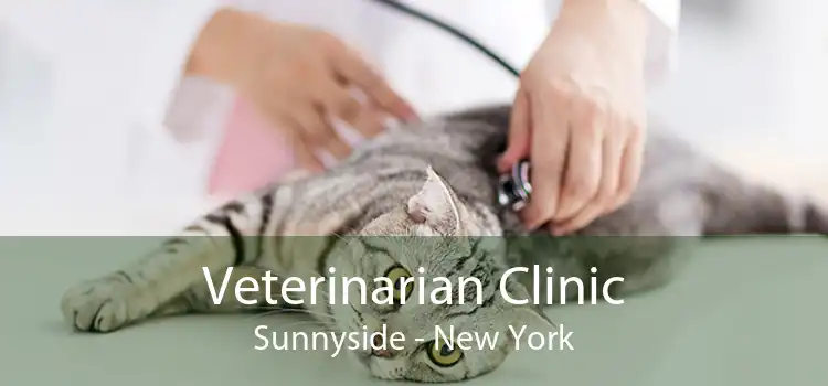 Veterinarian Clinic Sunnyside - New York
