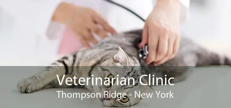 Veterinarian Clinic Thompson Ridge - New York