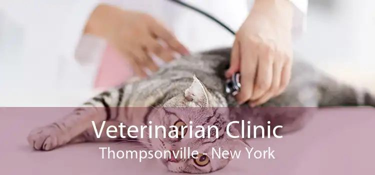 Veterinarian Clinic Thompsonville - New York