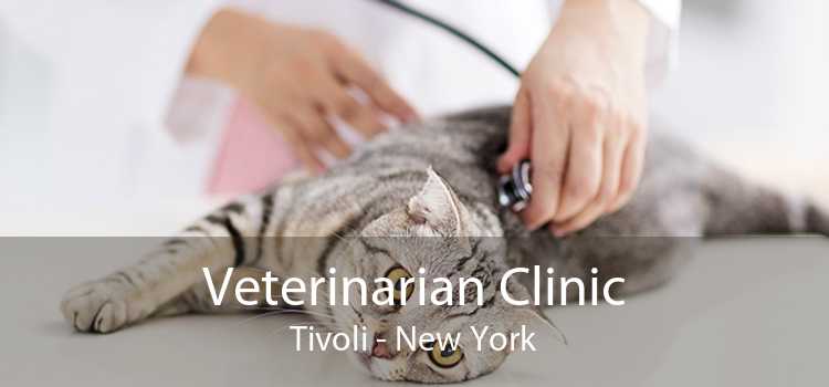 Veterinarian Clinic Tivoli - New York