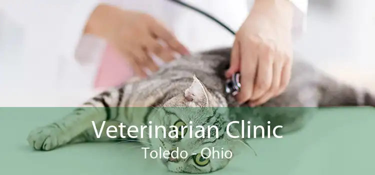 Veterinarian Clinic Toledo - Ohio