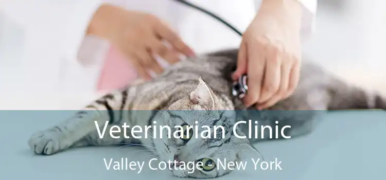 Veterinarian Clinic Valley Cottage - New York