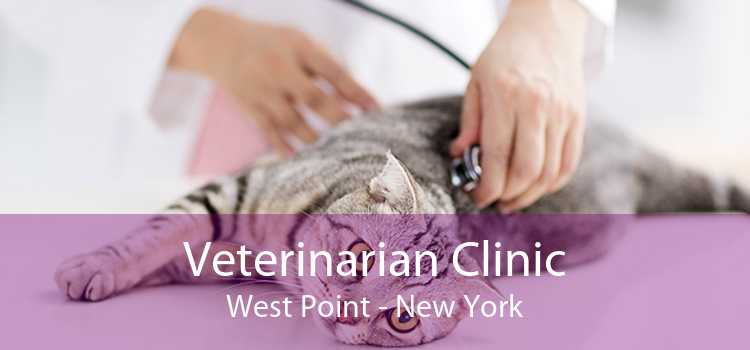 Veterinarian Clinic West Point - New York