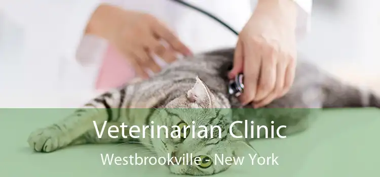 Veterinarian Clinic Westbrookville - New York