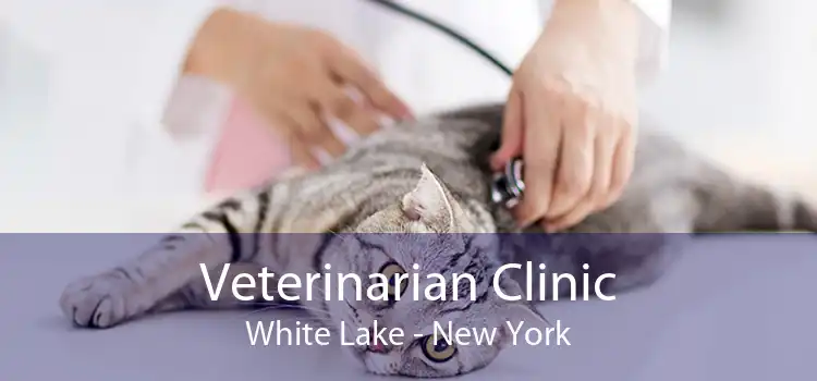 Veterinarian Clinic White Lake - New York