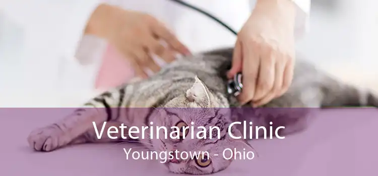 Veterinarian Clinic Youngstown - Ohio